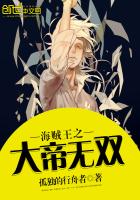 One Piece King Wushuang
