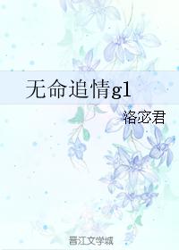 no life chasing love gl